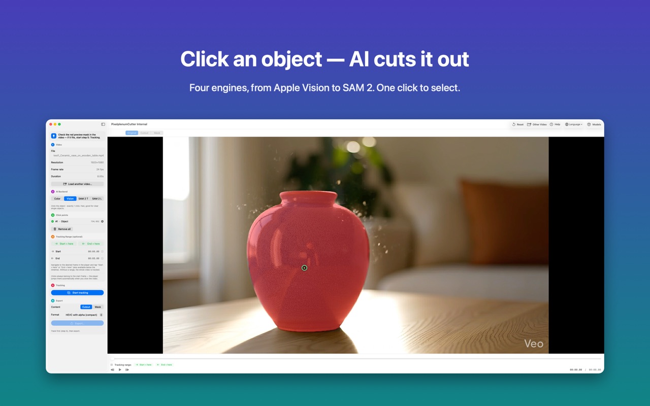 Video Cutout: click an object to select it