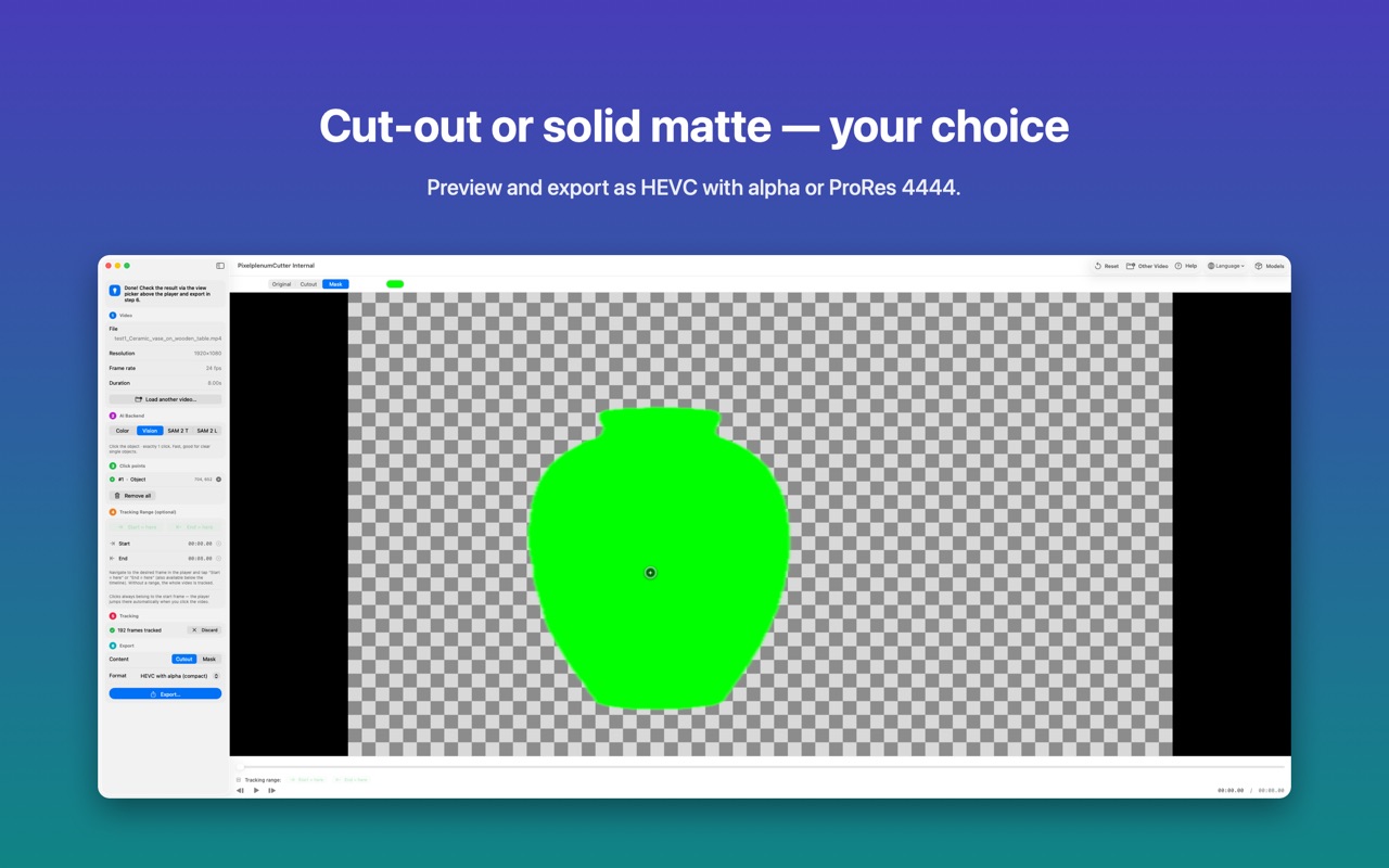 Video Cutout: solid matte preview